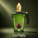 اگر به دنبال عطری مردانه، لوکس، انرژی‌بخش و ماندگار هستید، Fiero Xerjoff یکی از بهترین و خاص‌ترین انتخاب‌ها از برند ایتالیایی Xerjoff است. این عطر برای آقایانی مناسب است که رایحه‌ای تازه، مرکباتی و کمی چوبی می‌خواهند و می‌خواهند عطری داشته باشند که هم حضورش محسوس باشد، هم حس شیک بودن و اعتمادبه‌نفس را منتقل کن