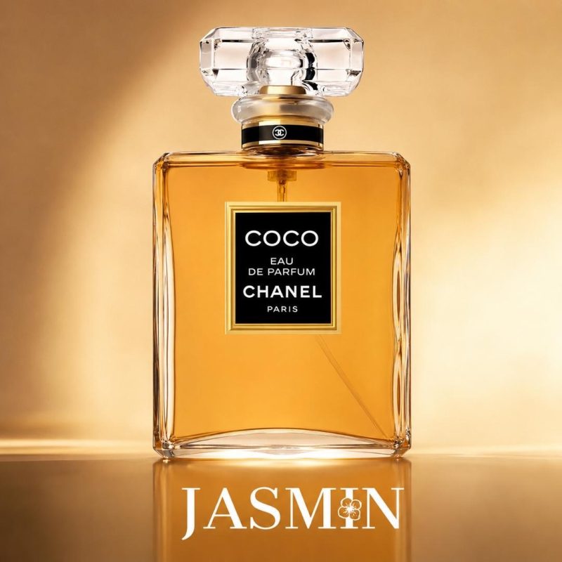 خرید عطر زنانه Chanel Coco EDP با رایحه گرم، گلی و ادویه‌ای؛ بررسی نت‌های بویایی، ماندگاری، پخش بو، قیمت و راهنمای تشخیص و خرید عطر شنل کوکو.